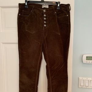 Free People Brown Corduroy Straight Leg pant
